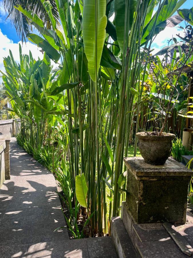 The Banana'S Kumbe Villa Tampaksiring Eksteriør bilde
